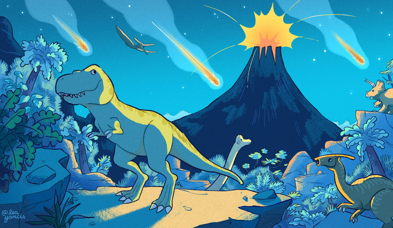 Varius leo fermentum